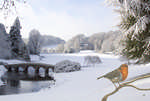 Turf bridge snow with  robin